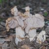 2012-12-23_0331m