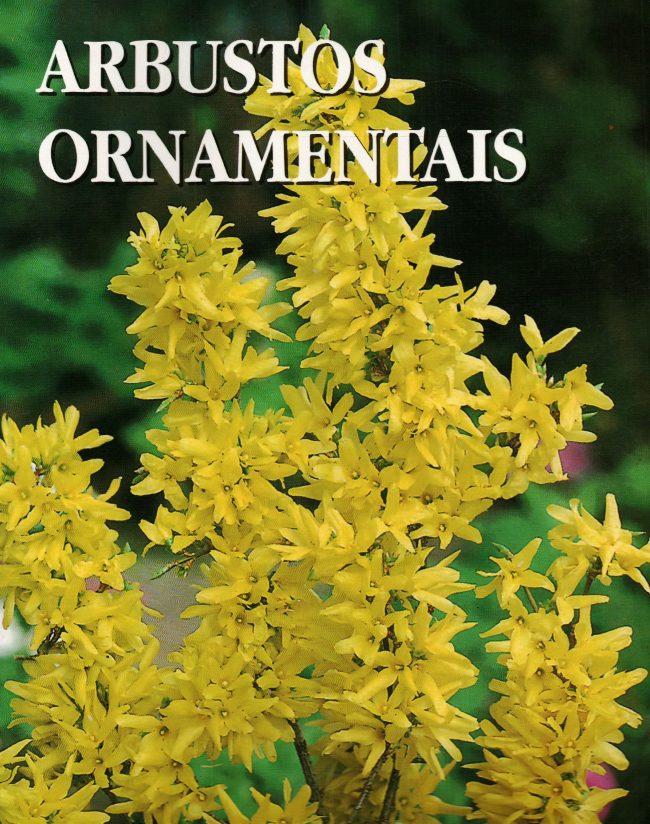 arbustos ornamentais
